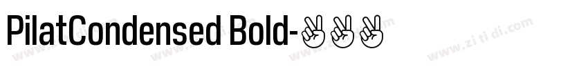 PilatCondensed Bold字体转换
